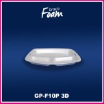 F10P 3D